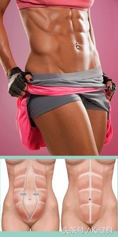 腹直肌分离要锻炼腹外斜肌吗,腹直肌运动解剖功能图