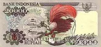 大卫爱登堡2024,美得令人窒息英文