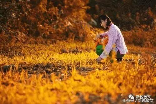 新婚，公公铁青着脸一大早来踹门