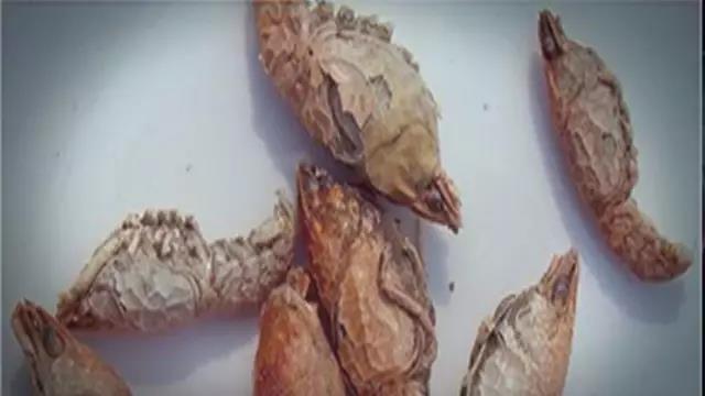 小龙虾的种类及吃法,如何吃小龙虾的方法和图解