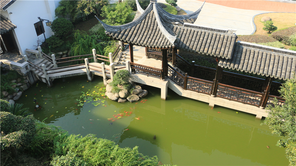 品农家菜,品农家美食