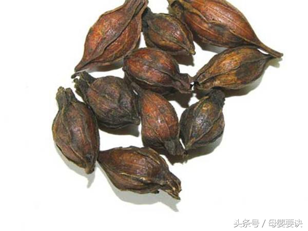 胃总是火辣辣的痛,胃突然火辣辣的疼怎么快速缓解