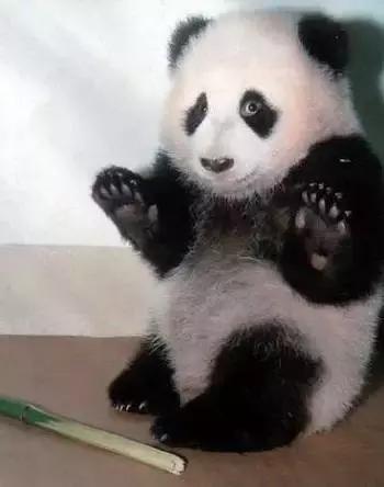 代购奇葩经历,奇葩代购的真实经历