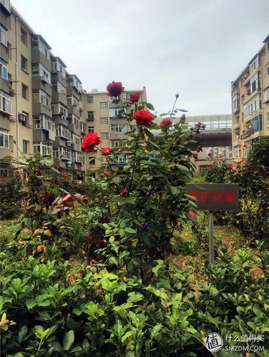 魅蓝note5对比魅蓝6,魅蓝note5和魅蓝note6对比