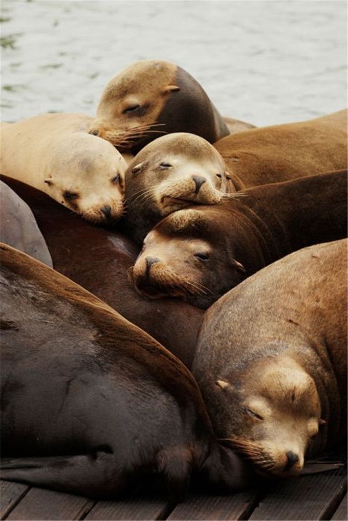 加州1号公路自驾路线图片,加州一号公路攻略从南往北