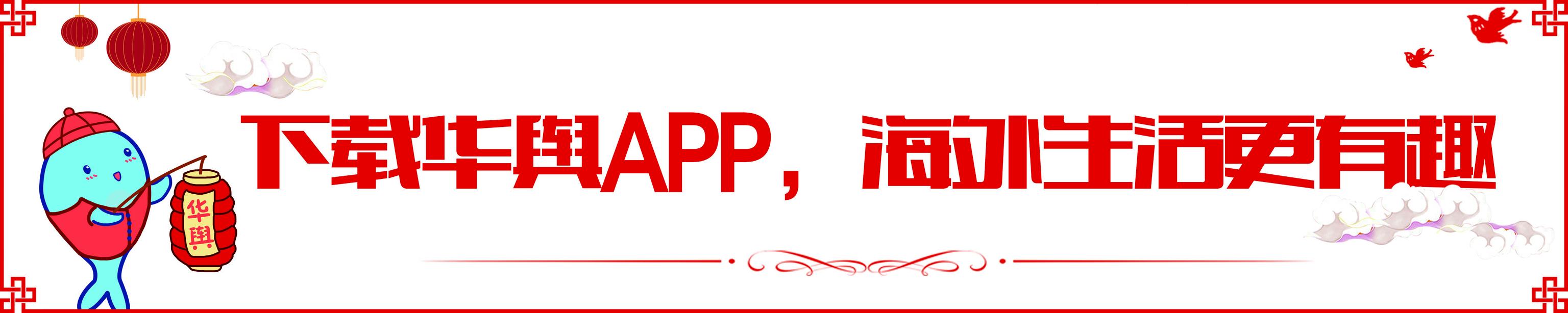 外国治疗风湿的药有哪些,常用药哪些是国外禁止的