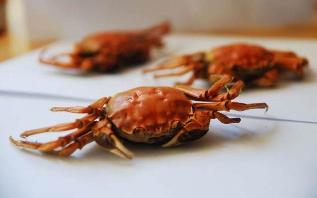 孕妇三个月能吃螃蟹吗初期,螃蟹孕妇吃了会流产吗