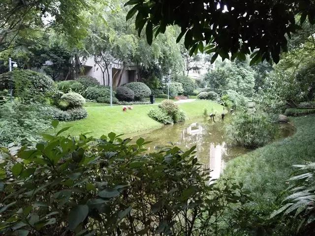 成都西派国际新房,成都西派国际实地看房