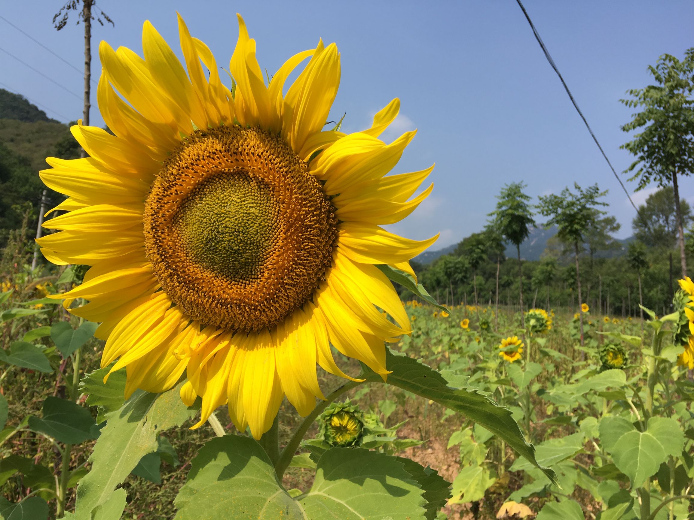 怀柔农家院独门独院游玩,我县6村庄入选中国传统村落录