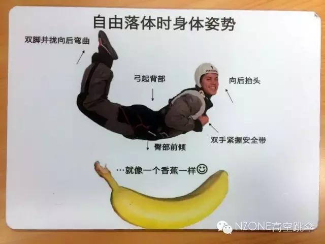 在新西兰掉发,在新西兰飞去阿根廷