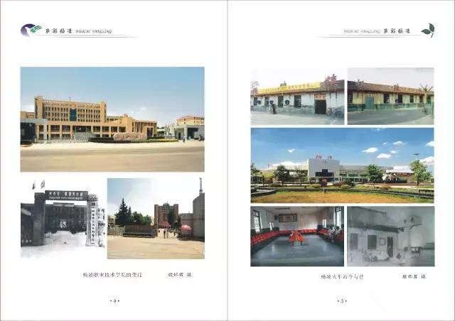 杨凌蘸水面高凤香,杨陵杨凌