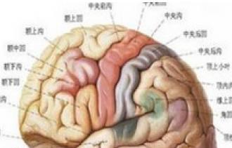 脑垂体腺瘤中医怎么治疗,脑垂体腺瘤的治疗方法