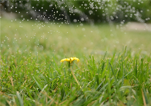 天蝎座心情不好的时候怪癖,天蝎座心情不好的治愈方法