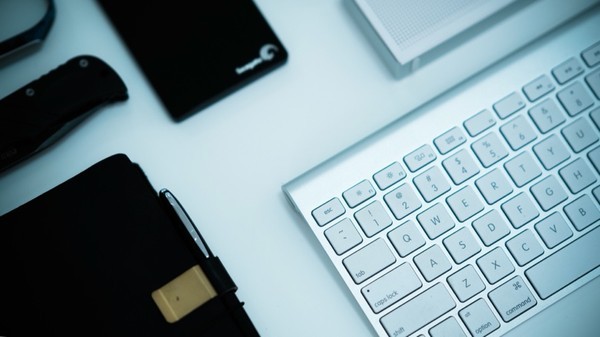 便宜实惠的狗用品品牌推荐,狗用品推荐学生党必备