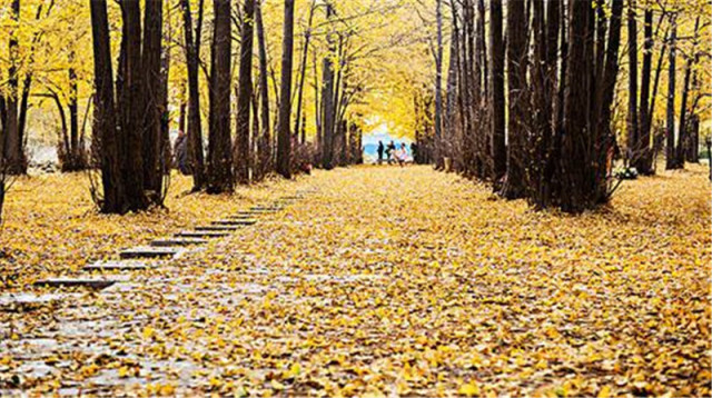 用12星座对应12生肖,12星座最像哪一座城市