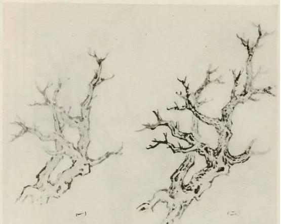 山水画画树的教学视频,山水画基础画树技法合集