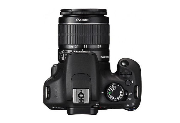 美国有哪些相机牌子好用,外国人关注什么