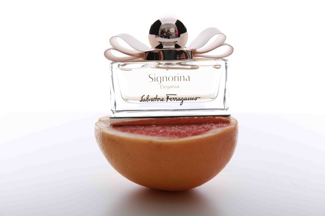 太阳白羊的10月运势,苏珊米勒2022年白羊座运势