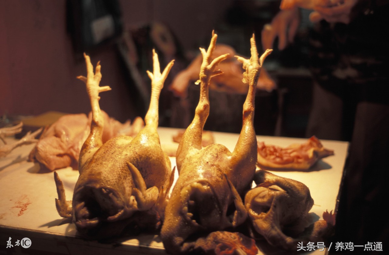 做兽医要什么条件,做兽医要学什么