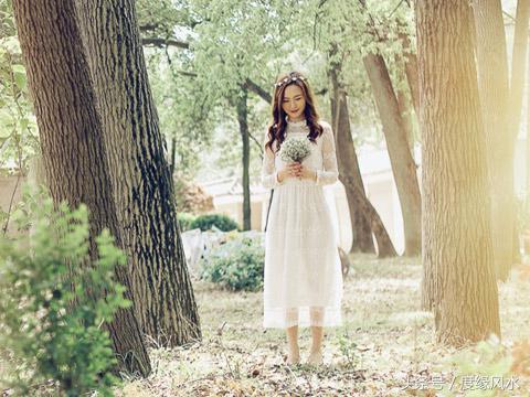 命理八字解析戊辰年人事业和财运,命理八字如何看事业宫