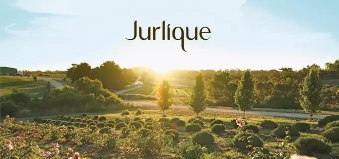 因为种玫瑰花,“她”从澳洲火到了全球!