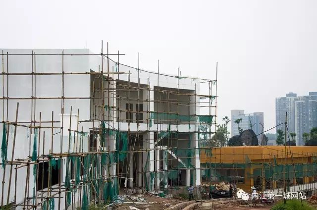 离主城最近的森林公园,离尘不离城的视频