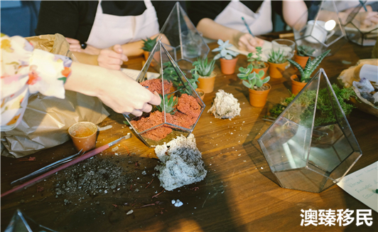 上海阿姨出国打理,普通人怎样移民新西兰