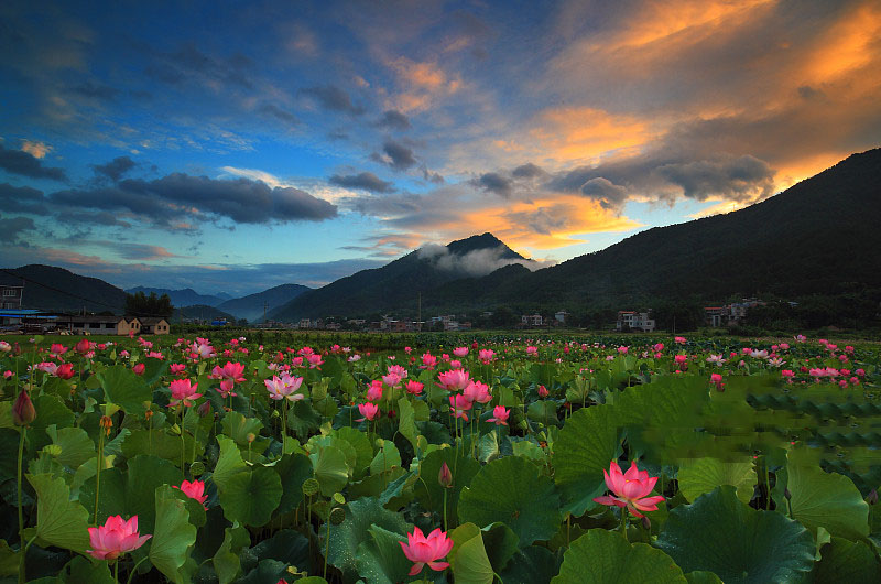 看旅游景点猜中国地名,看城市别称猜地名