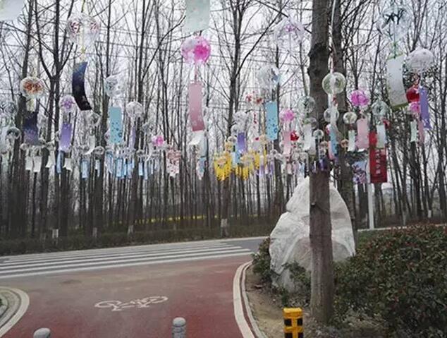 合肥瓜牛公园丛林探险,合肥瓜牛公园到底好不好玩