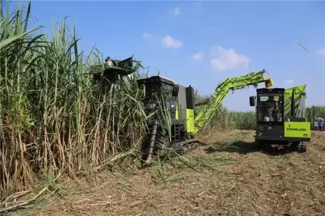 黄金搭档甜蜜相约—中联重科AS60甘蔗机+转运车开启蔗收新模式