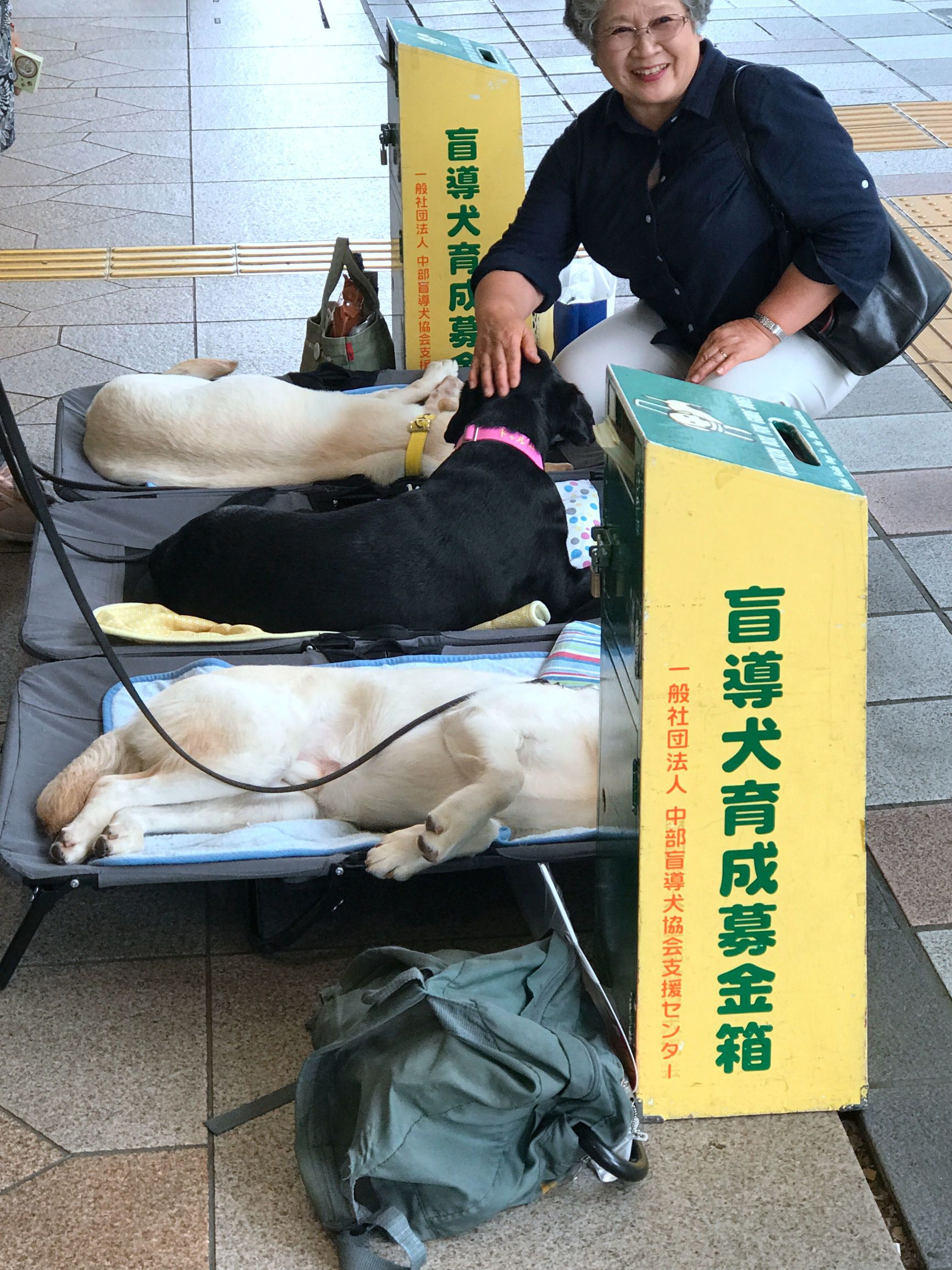 名古屋有意思吗,名古屋是不是日本的古都