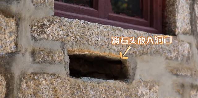 爸爸去哪拍摄地广东,爸爸去哪儿黄河拍摄地