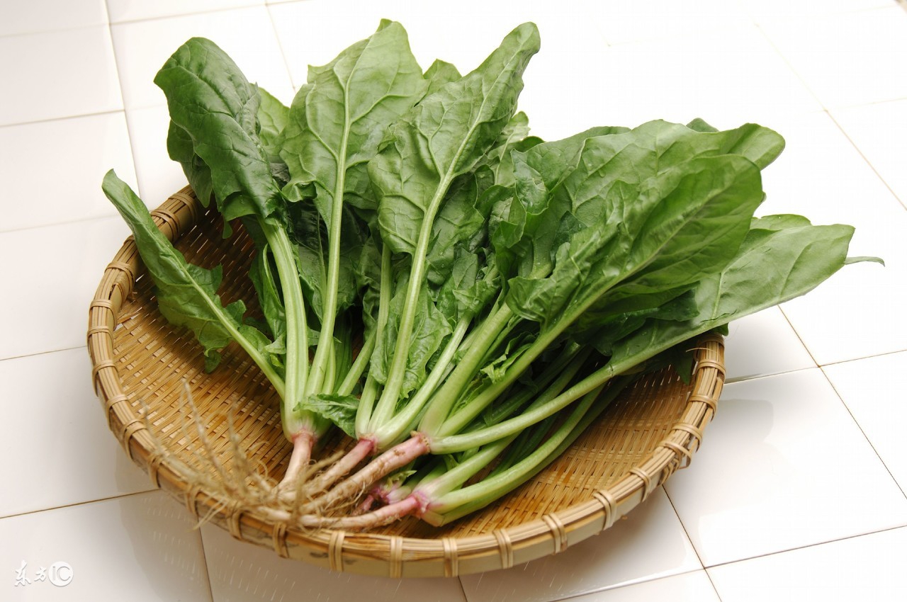 口臭口苦嘴里有味,口苦舌白有口臭什么原因