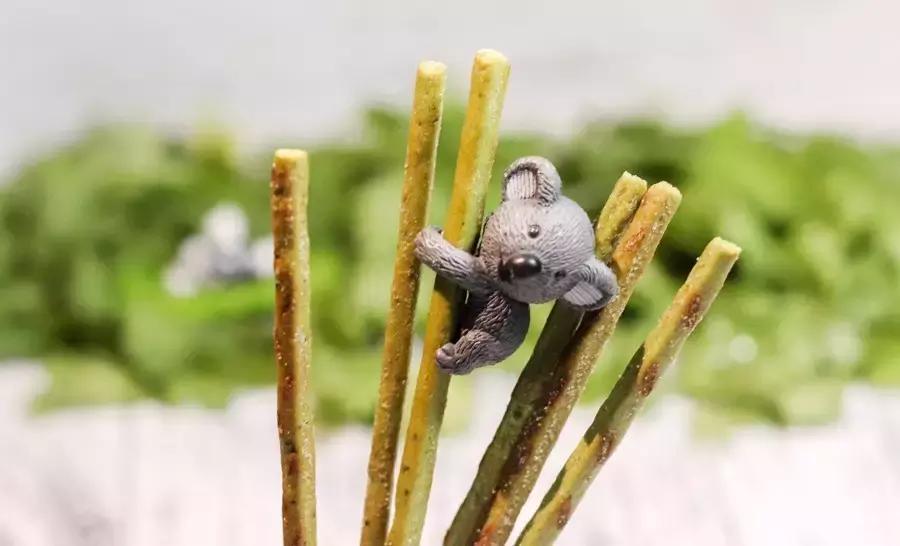 香菜零食,测一测吃过的100种零食