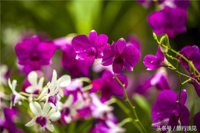 陪伴才是对孩子最好的祝福,陪伴才是给孩子最好的教育