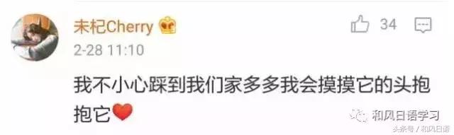 不小心踩死自己的宠物痛哭流涕,不小心把宠物压死了