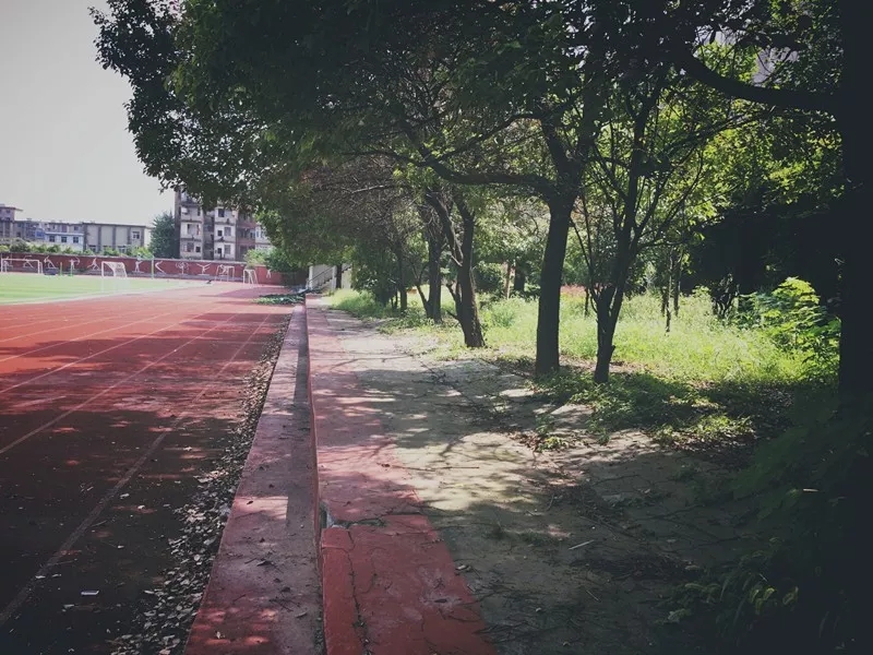 九江六中好不好,好久不见六月