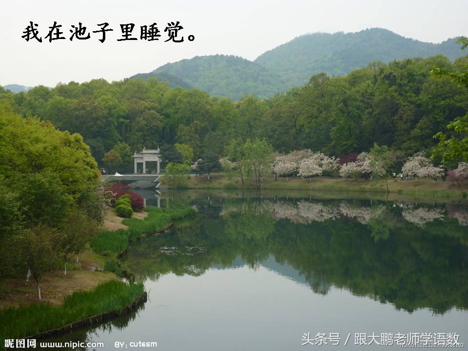 部编版二年级语文下册第一课课文,部编版二年级语文上册第二课视频