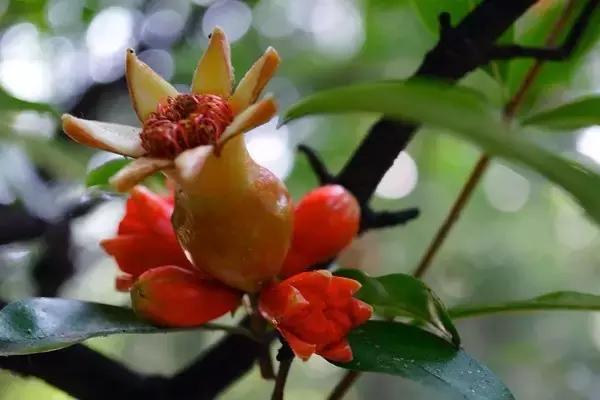 真的要“谈铜色变”？其实，慎重使用就行