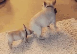 女朋友说给我尝一口怎么幽默回复,女朋友说给我吃东西怎么回