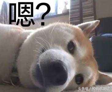 现在有什么事情是断网更让人崩溃,断网24小时后的真实感悟