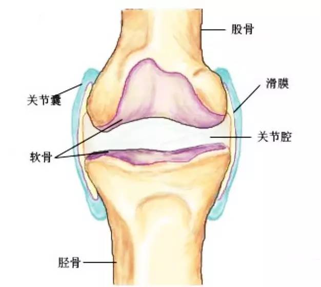 关节肿是滑膜炎吗,有什么病能引起滑膜炎