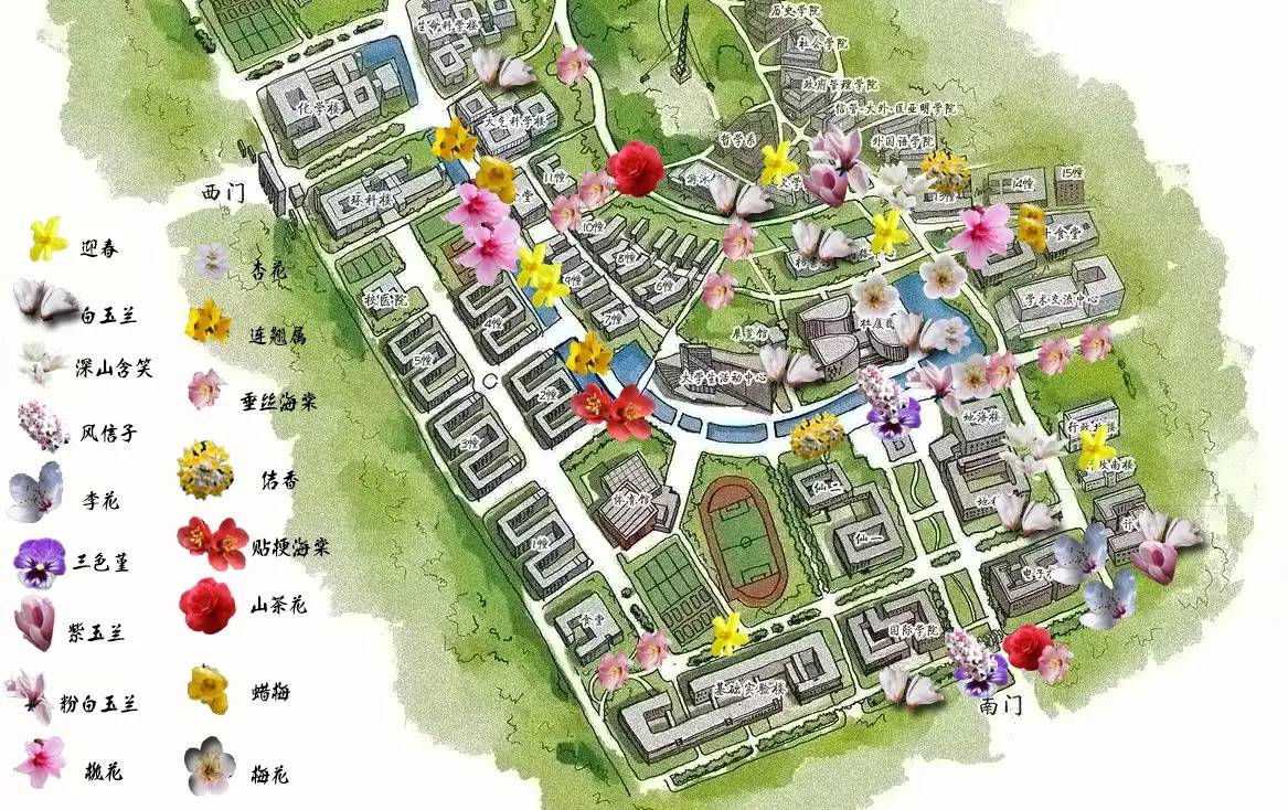 南京十大赏花胜地,南京玄武湖春季赏花攻略请收好