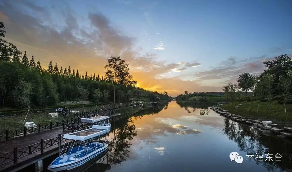 让我醉倒在泉边歌词,让我醉倒在池边歌词