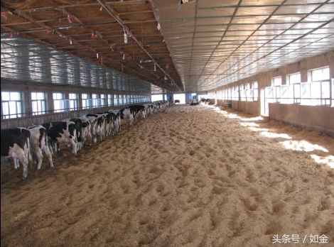 制作发酵床的技术视频教程,发酵床的制作方法和配方