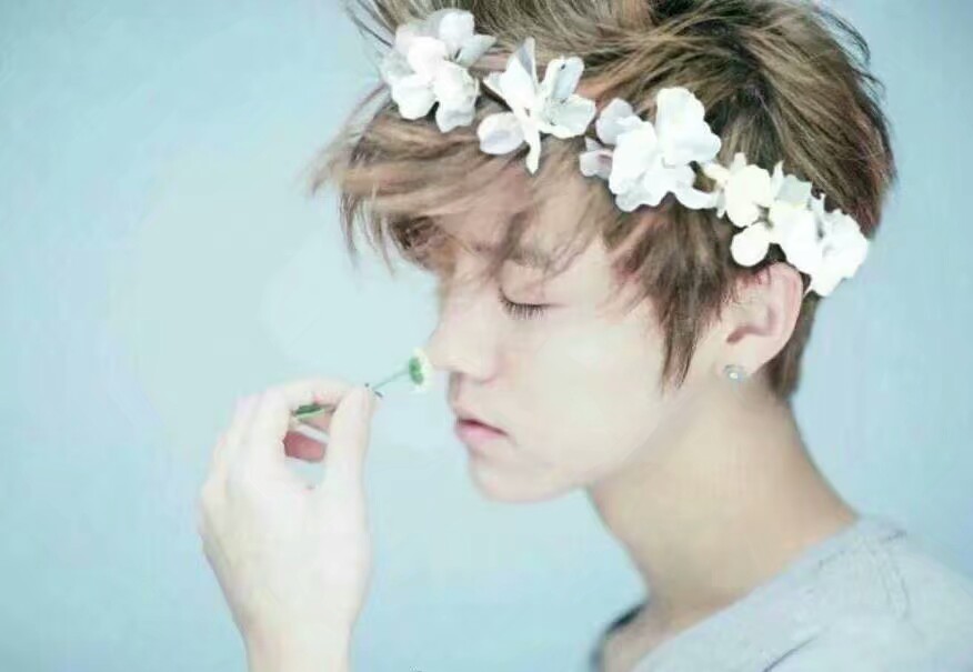 鹿晗的十首歌曲,鹿晗经典插曲