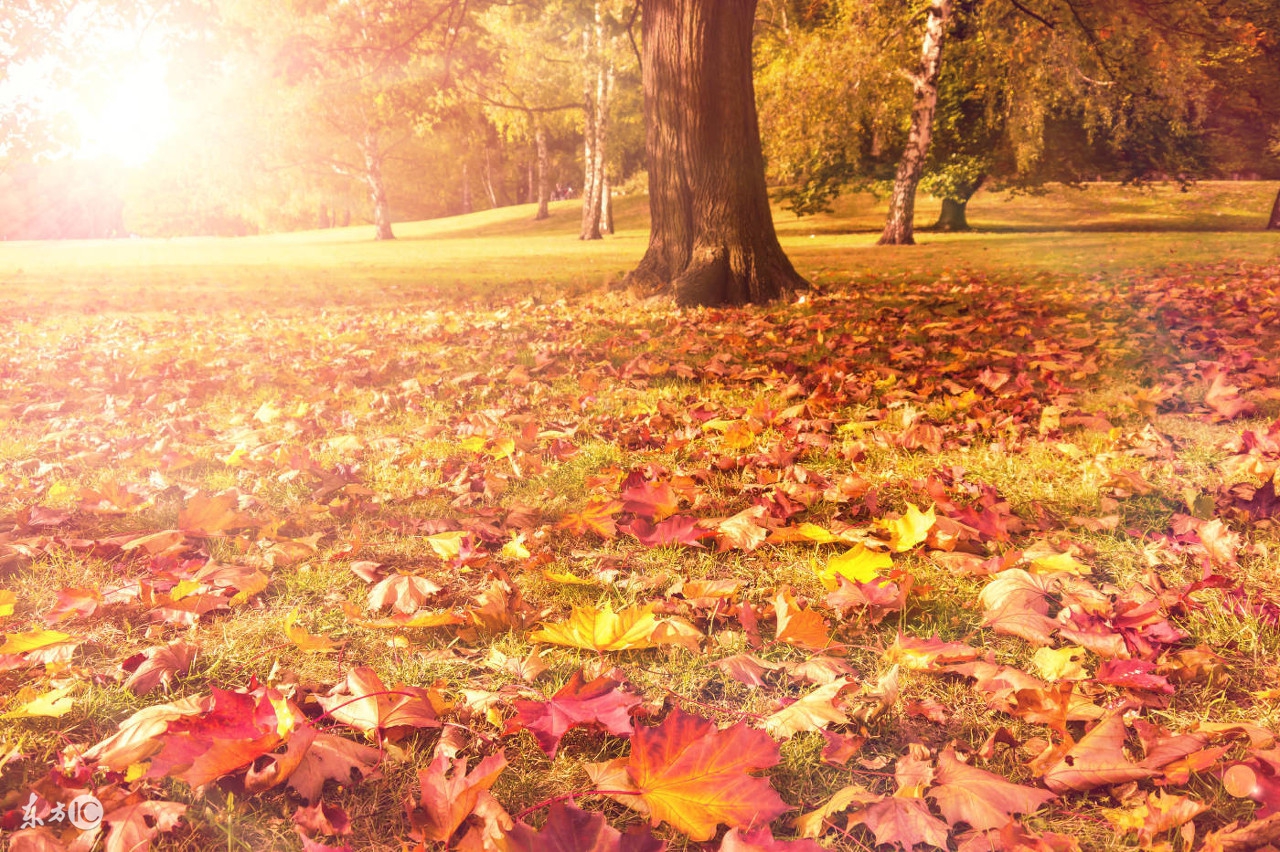秋分养肤之道如何预防秋燥变脸,立秋节气的保健养生宝典