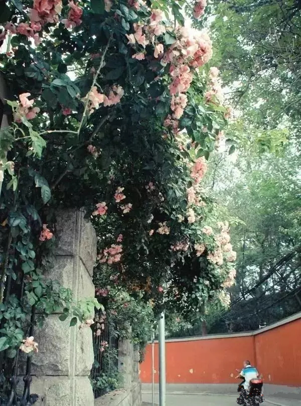 去郑州哪里旅游最便宜又好玩,郑州值得旅游的地方有哪些