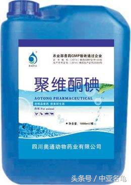 龟腐甲烂了怎么办,鬼针草治疗龟腐皮有用吗