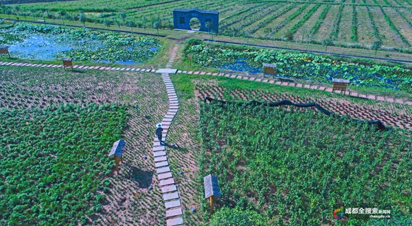 漫香庄园图片,龙泉驿区漫香庄园规划